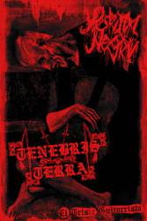 Tenebris Terra : El Triste Guitarrista